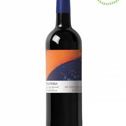 Soloterra 2019 - sangiovese Mulini di Segalari