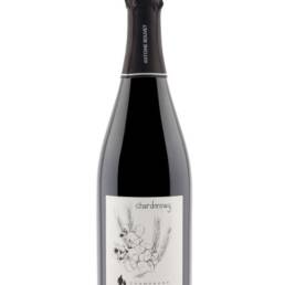 Bouvet Chardonnay Soranges Plantels