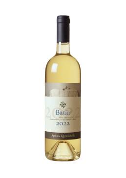 Batar 2022