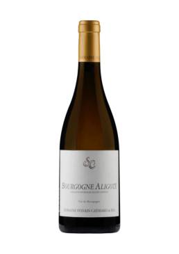 Bourgogne Aligotè Sylvain Cathiard