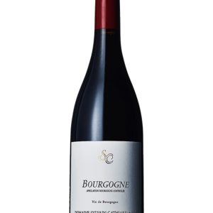 Bourgogne Rouge 2021 Sylvain Cathiard