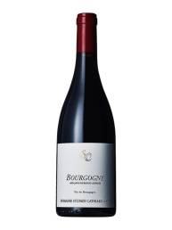 Bourgogne Rouge 2021 Sylvain Cathiard