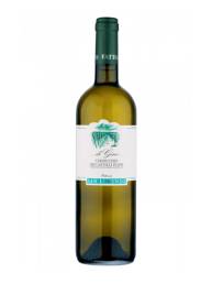 di Gino Verdicchio