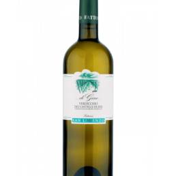 di Gino Verdicchio