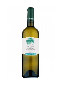 di Gino Verdicchio