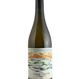 Terre di Giotto Nostrale Bianco