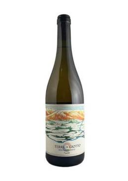 Terre di Giotto Nostrale Bianco
